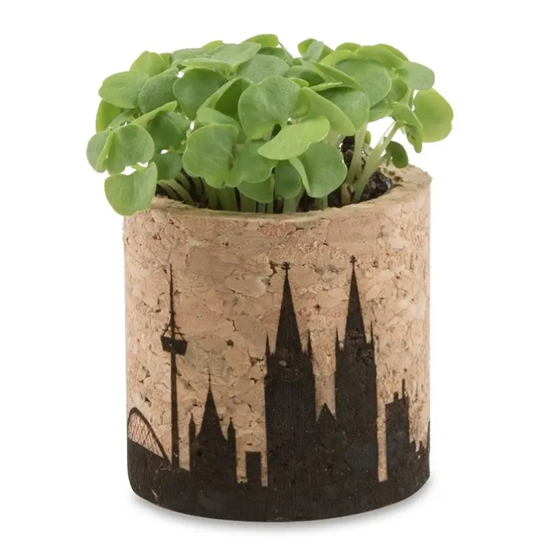 Ensemble de plantes en liège - image 2